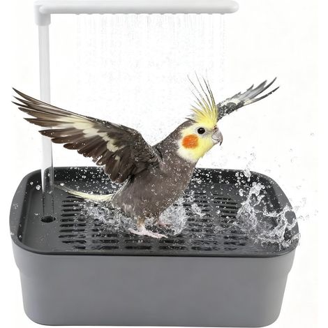 Automatische Vogeltränke mit Pumpe – Papageiendusche – Wellensittichbad mit Springbrunnen – Automatische Wasserzirkulation – USB-Stromversorgung – 23 x 15,5 x 24,5 cm – Inkl. USB-Stecker – Grau (1/5)