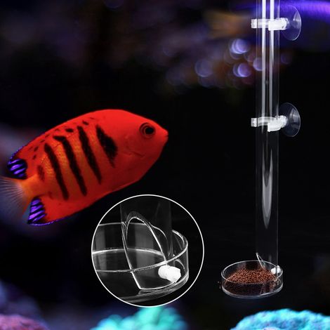 Distributeur de nourriture transparent en acrylique durable pour poissons et crevettes d'aquarium, tube d'alimentation avec plateau (25 cm) (1/5)