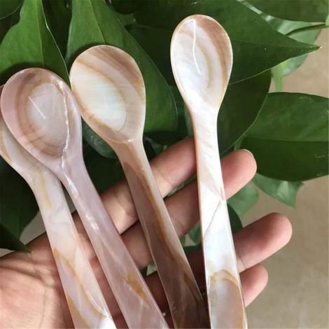 Cuillère à caviar lot de 2 en nacre avec poignée ronde, boîte de rangement incluse, compatible café, dimension 9 cm, cassette recharge (1/5)