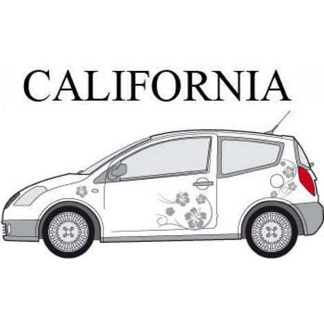 Set complet Adhesifs -CALIFORNIA- Argent - Taille M - Car Deco