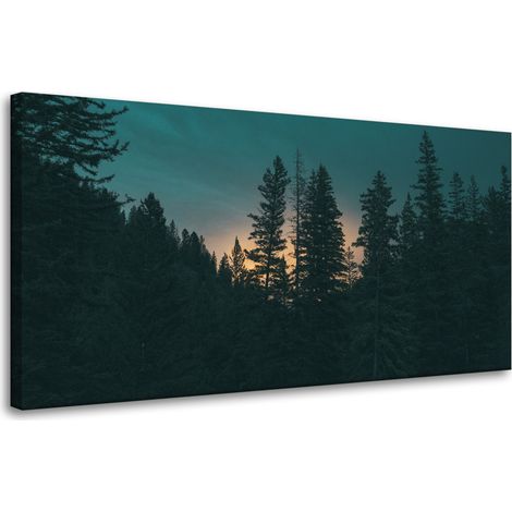 Impression sur toile Nature Forêt au crépuscule 80x40 cm Obscurité