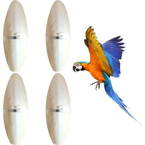 4 Pièces Os de Seiche Premium pour Tortues, 11-13cm Sepia-King Os de seiche, Os de seiche Tortue avec 4 Supports, Jouets à Mâcher Oiseaux, Oiseau Calcium Jouet, Source Naturelle de Cal (1/5)