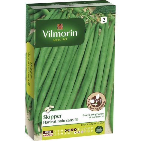 VILMORIN Haricot Skipper Sachet de graines - Création Vilmorin - Recommandé pour Congélation