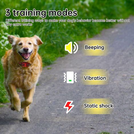 Collier De Choc Pour Petits Chiens - 3 Modes Electroniques Etanches À Large Portée Avec Télécommande Noir Pour Dresser Les Petits Chiens De Taille (1/5)