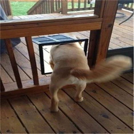 Pet Screen Porte Chatière Chatière pour Chien Grand Chat Chatière , pour Porte Coulissante, Porte Moustiquaire Fenêtre,noir,46×35×1 (1/4)