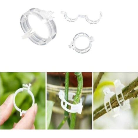 ® RisingFF Pflanzenbinder für Rankhilfen/Spaliere, 100er-Packung, transparent (1/5)