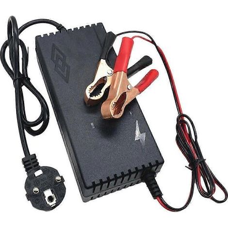 Chargeur LiFePO4 14,6 V 10 A pour batteries lithium 4S 12,8 V (1/5)