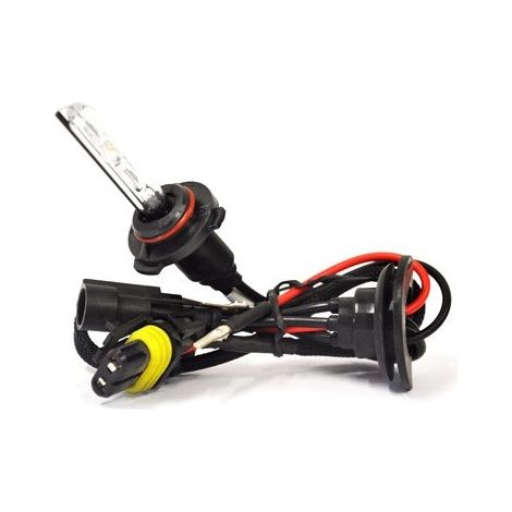 Ampoule xénon HID H8 H9 H11 6000K amio-01415 (1/2)