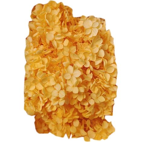 Farfi 20g/Box Trockenblumen, keine Bewässerung nötig, dekorative, frisch haltende künstliche Hortensienblüten, Geschenkbox-Set, Heimdekoration für das Wohnzimmer-Orange