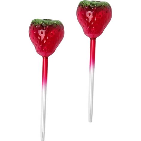 pi ces Globes Arrosage Verre pour Plantes Int rieur et Ext (1/5)