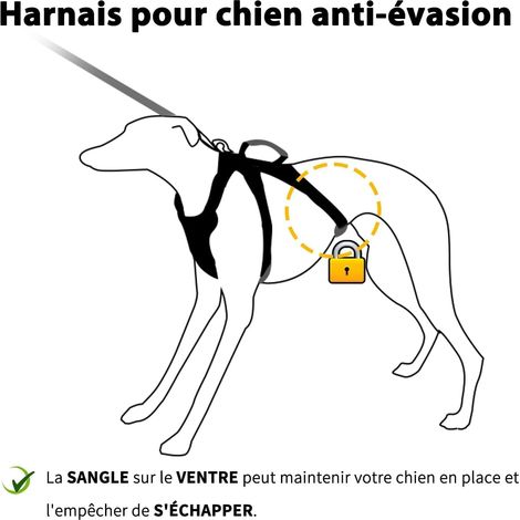 Harnais réglable pour chien avec poignée et attaches anti-traction, gilet respirant et réfléchissant pour promenades et entraînement