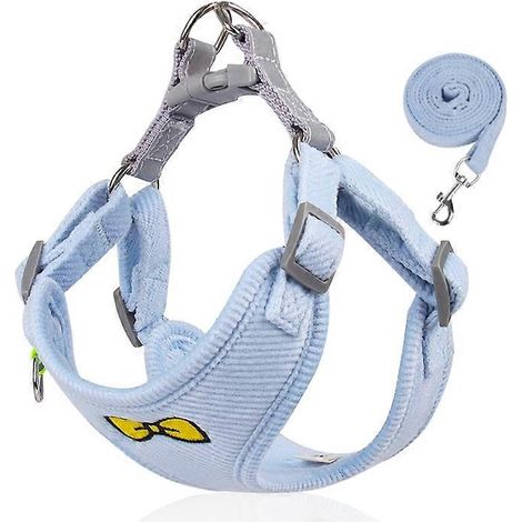 Verstellbares Hundegeschirr und Leine, Größe M, blau, atmungsaktive Kleidung für Spaziergänge im Freien, komfortable und sichere Ausrüstung.
