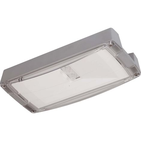 Ceag Notlichtsysteme LED-Einzelbatterie-Leuchte m.autom. Funkt.test AtlanticLEDOCGLine+H