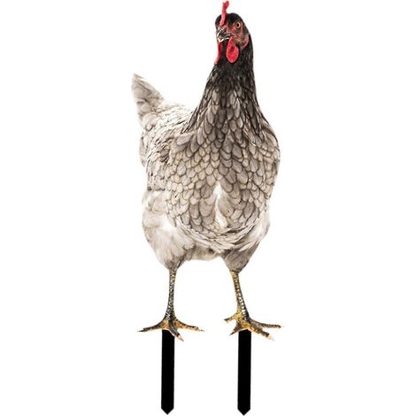 Statue de coq pour jardin, décoration extérieure, sculpture de poule pour fête de Noël-Style E