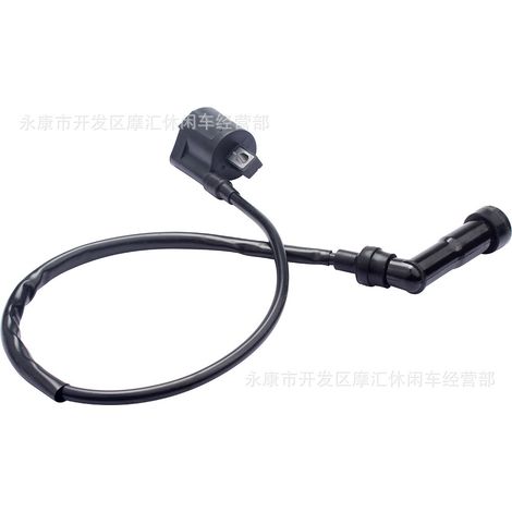 Compatible with Yamaha YFM350X YFM660R Grizzly 80 LTF500F high-voltage coil ignition coil (1/5)