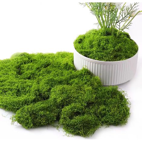 200 grammi di muschio artificiale (muschio finto) per prati, piante verdi, acquari e giardinaggio. (1/5)