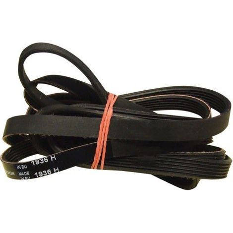 Courroie pour Sèche-Linge WHIRLPOOL 481235818164