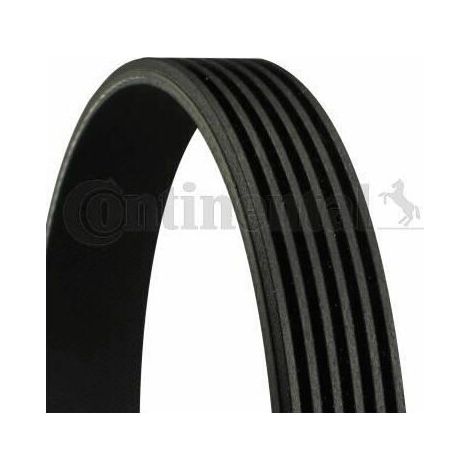 Courroie Poly-V striée automobile Contitech 6PK1705