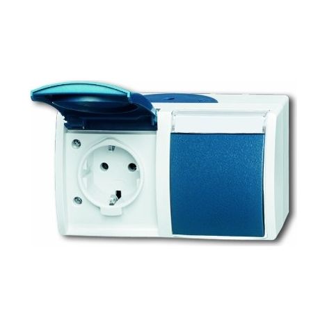 Busch-Jaeger Enchufe doble SCHUKO® con campo de rotulación con tapa abatible 16 A gris/azul verdoso - ocean® (20/2 EWN-53), 2CKA002084A0703 (1/5)