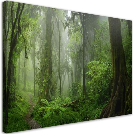 Quadro su tela, Foresta della giungla tropicale - 60x40 (1/5)