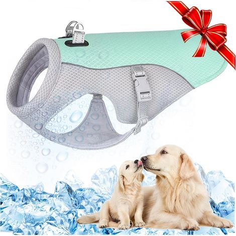 Gilet Respirant Maille Pour Chien - Veste D'été Cool Et Confortable Avec Bande Réfléchissante, Réglable, Convient Aux Grands, Moyens Et Petits Chiens (1/5)