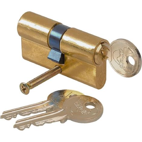 Cylindre de Serrure Mécanique pour Porte - Double Entrée 40x40mm - Mécanisme 5 Goupilles Sécurisé - 3 Clés - Installation Facile - Finition Laiton (1/5)