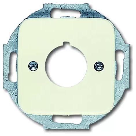 Busch-Jaeger 2533-212 Zentralscheibe mit Tragring (1/2)