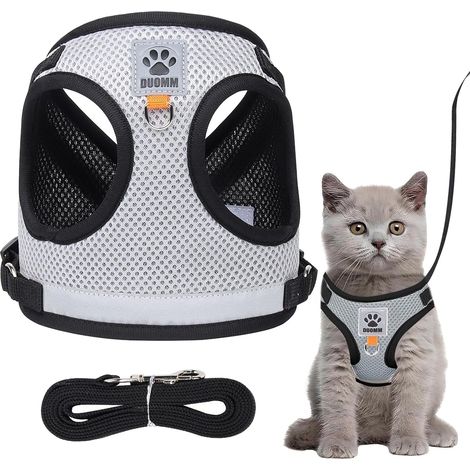 Harnais pour chat et petit chien, gilet de marche réglable avec laisse, harnais respirant anti-traction en maille souple pour animaux de compagnie (1/5)