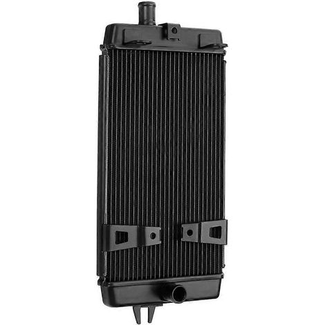 Refroidisseur de radiateur en aluminium noir pour Thruxton Bonneville T100 T120 Street Twin 2016-2022 (1/5)