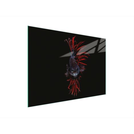 TAGLIERE IN VETRO 30x22 PESCE (1/5)