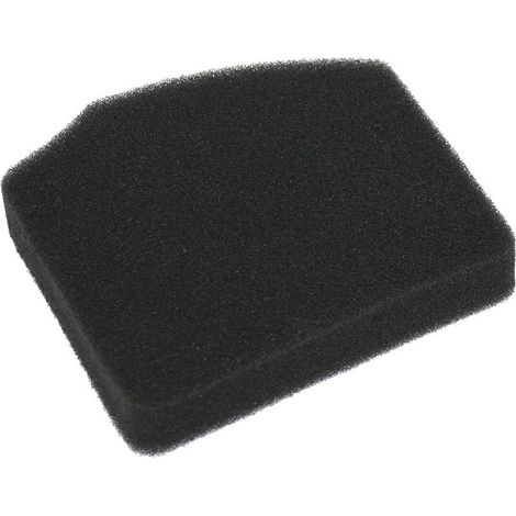 Filtro aria motore tagliasiepe decespugliatore soffiatore KASEI EBV260-3E E3