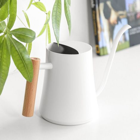 Arrosoir blanc à long bec, pour plantes d’intérieur/fleurs de jardin, précision arrosage extérieur/intérieur (1/4)