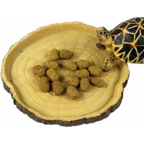 Petit bol pour reptiles : mangeoire, abreuvoir et gamelle pour reptiles, geckos, tortues et serpents. Accessoires pour terrarium (souche). (1/4)