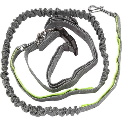 Laisse mains libres pour chien, laisse rétractable pour la course, ceinture élastique pour chien, laisse de jogging avec ceinture ventrale verte (1/4)