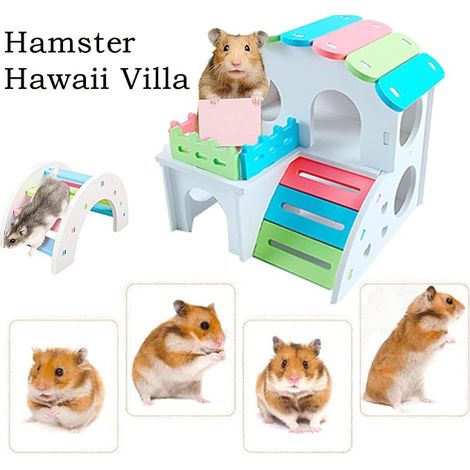 Toys for Hamsters, House, Rocker, Arch Bridge, Toys, Cage Decor, Playground for Gerbils, Rats and Hamsters (1/4)