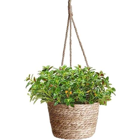 Bardusch - Pot de Fleurs à Suspendre en Corde de Jute, Suspendu Panier Tissé, Pots de Plantes, Jardinière Suspendue en Corde, Panier Jardinière Suspendue Pot pour Plantes, Intérieure ou Extérieure(Her (1/4)