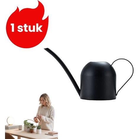 pièce - Arrosoir en acier inoxydable - Mini-vaporisateur de jardin - Arrosoir à long bec - Arrosoir pour plantes en pot de 500 ml - Zwart (1/5)