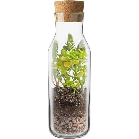 Kit Jardín Interior Terrarium Vertical - Garden Pocket (1/5)