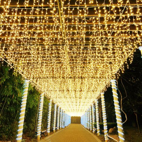 100M 800 LED Guirlande Lumineuse Carnaval Mariage Extérieur Jardin Intérieur Éclairage(Blanc chaud) (1/5)