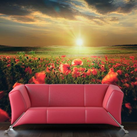Papier Peint "Morning on the Poppy Meadow" 270 x 350 cm (1/2)