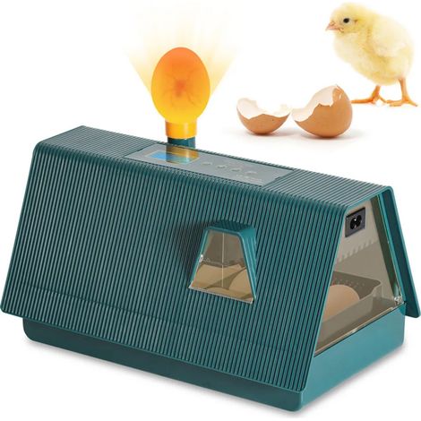 Incubateur TolleTour, distributeur d'eau, machine à éclore, incubateur motorisé pour 10 œufs de poule (1/5)