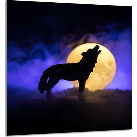GLASPLATTE FÜR KÜCHE 60x65 Wilk