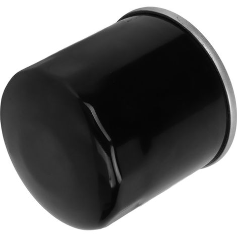 Filtre à huile 2520799 : remplacement performant et stable pour Polaris Sportsman XP 1000 (1/5)