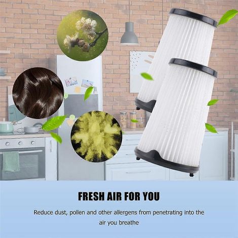 2er-Pack Filter für Electrolux AEG AEF150, kompatibel mit Ergorapido CX7-2 Modellen (1/4)