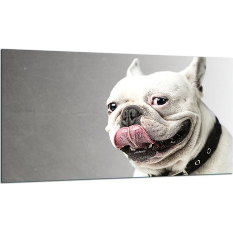 PLAQUE DE PROTECTION EN VERRE POUR CUISINIÈRE 90x52 DOG (1/5)