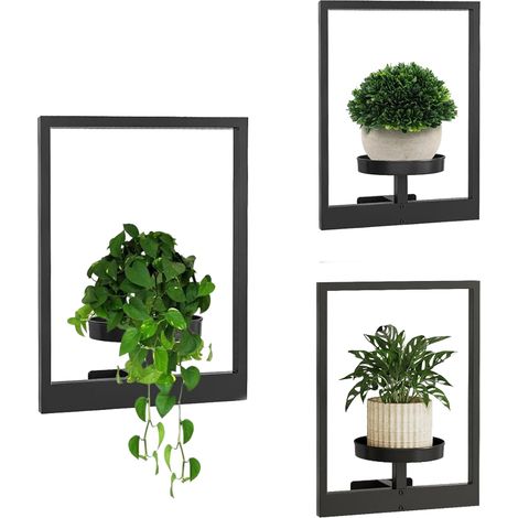 Macetas de pared para plantas de interior, soportes para plantas, colgadores decorativos de pared para interiores, estantes para plantas de ventana, macetas colgantes, paquete de 3 para sala de estar, (1/5)