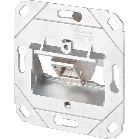 BTR 130B12D11200-E DONNÉES PRISE C6 A MODUL 1 PORT 270 ° POUR MONTAGE ENCASTRÉ BLANC PUR