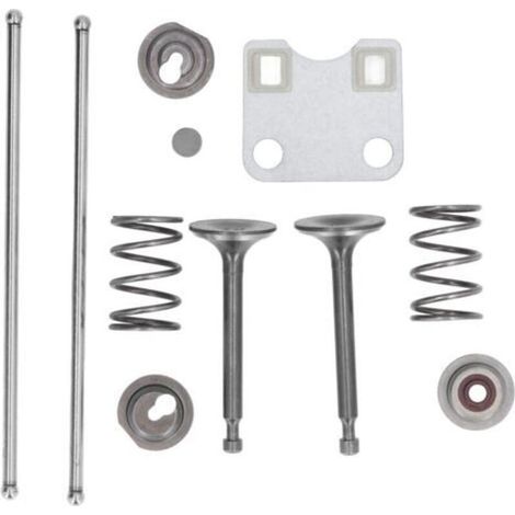 Kit Protection Culasse Compatible Honda GX160 GX200 5.5HP 6.5HP Moteur avec Ressorts de Soupapes Pièces Rechange (1/5)