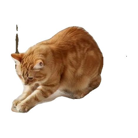 Tappetino protettivo per animali domestici, antigraffio, facile da installare, verde militare. (1/2)