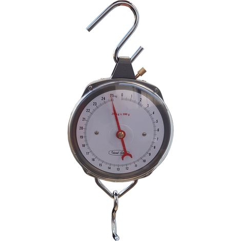 BILANCIA A STRAPPO IDEAL STAR 25 kg/100 g - IDEAL STAR